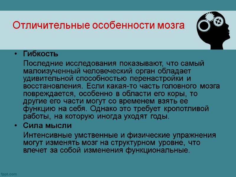 Отличительные особенности мозга Гибкость  Последние исследования показывают, что самый малоизученный человеческий орган обладает